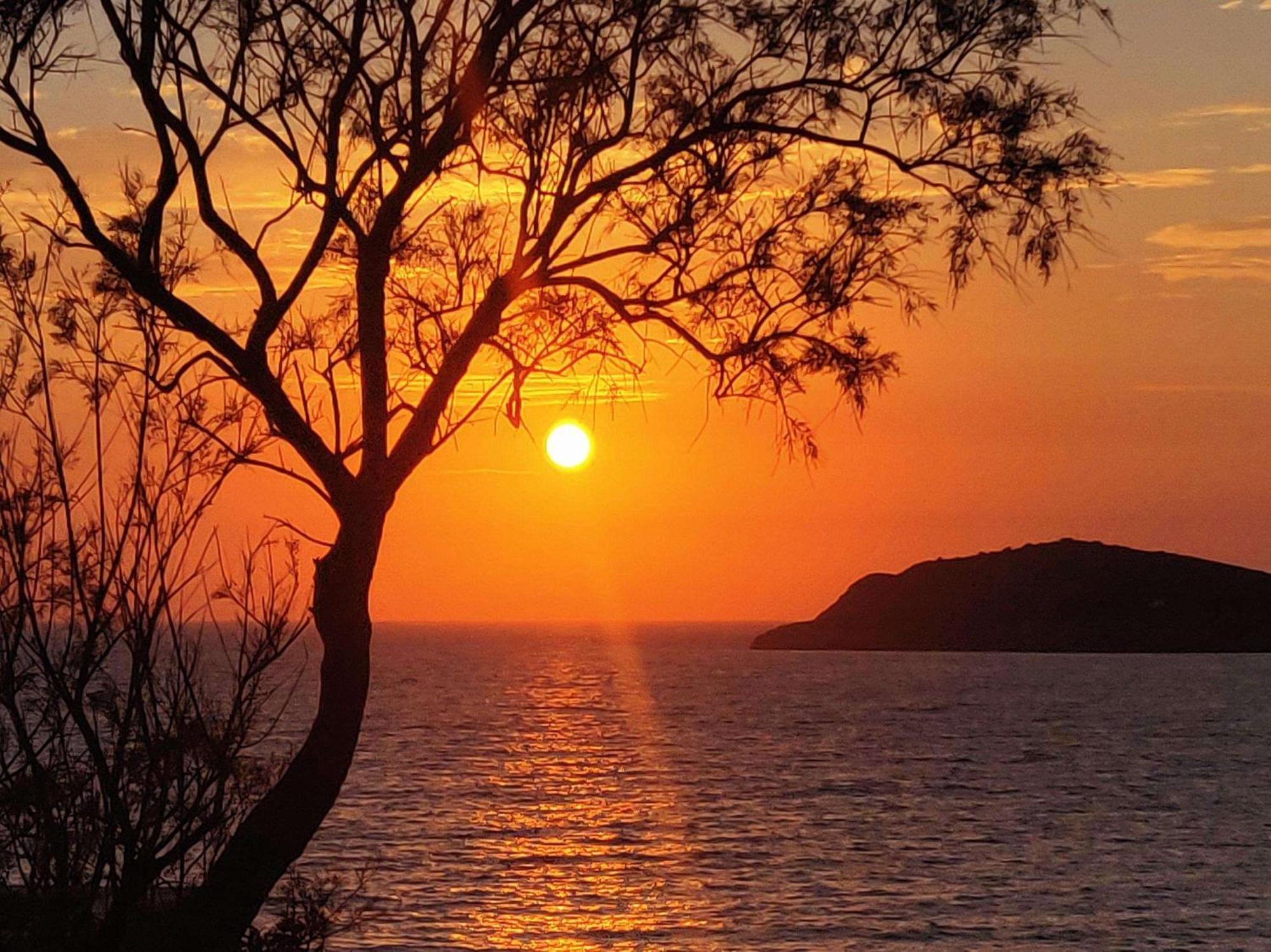 Aphrodite Studios Kalymnos Myrties Buitenkant foto